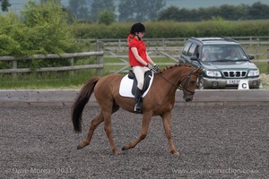 ISIS Dressage Challenge 2008